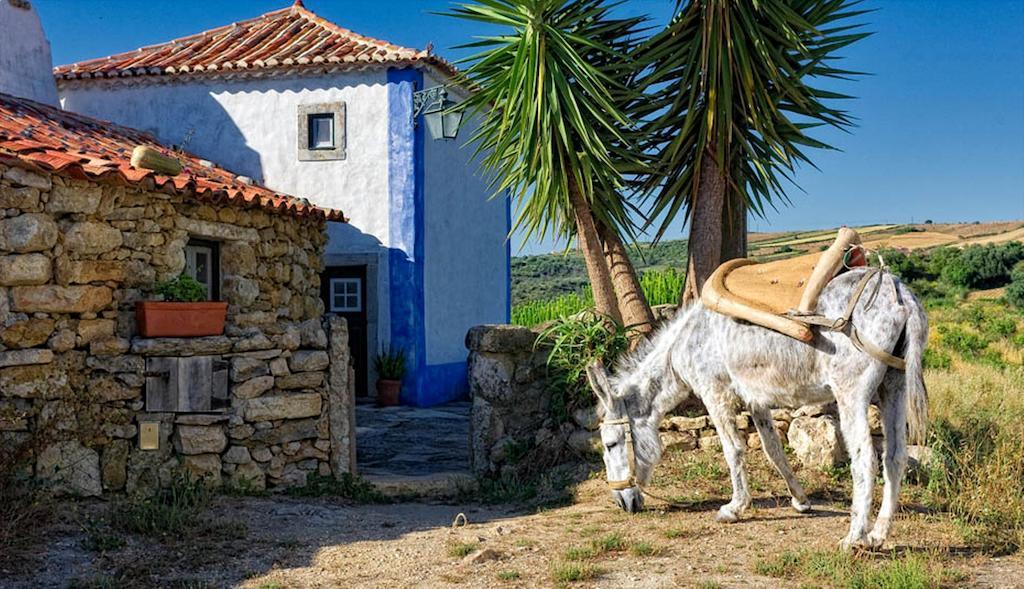 Aldeia Da Mata Pequena 호텔 마프라 객실 사진